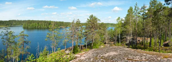 Rotsachtige forest lake — Stockfoto