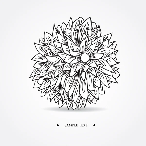 Black and white background with half of chrysanthemum flower — Stock Vector