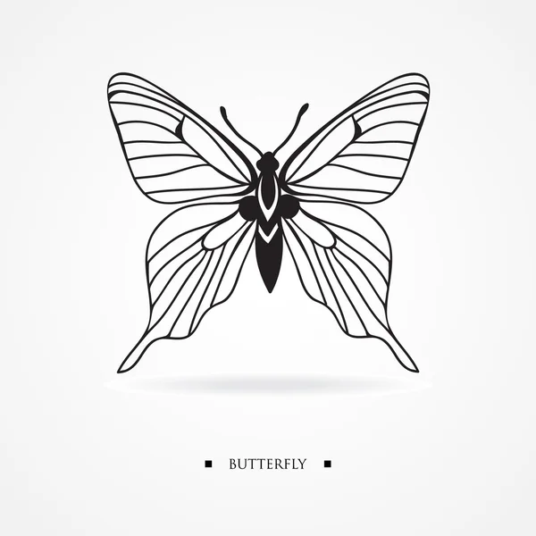 美丽的蝴蝶与阴影 — 图库矢量图片