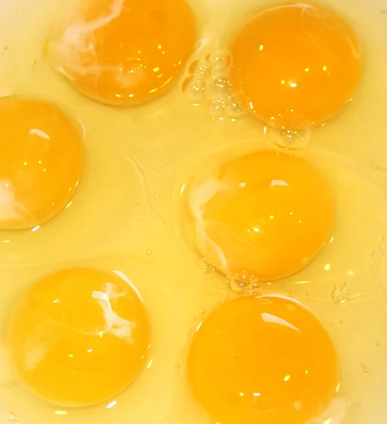 Ägg äggula Stockbild