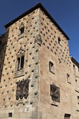 Salamanca Casa de las Conchas clipart
