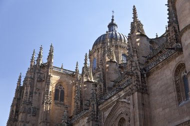 Salamanca yeni Katedrali (Catedral Nueva)