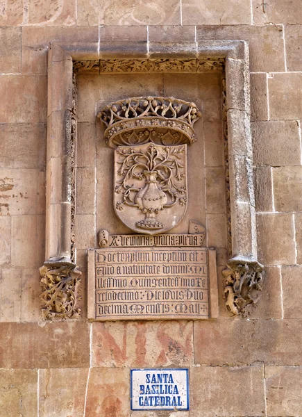 Catedral Nova de Salamanca (Catedral Nueva ) — Fotografia de Stock