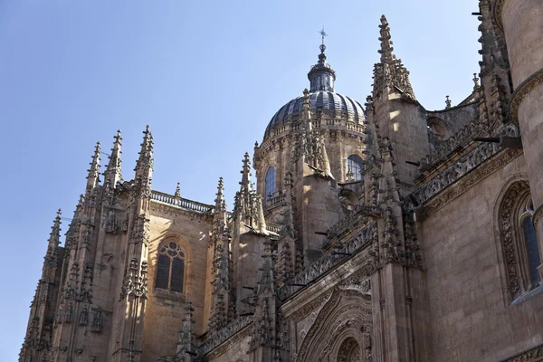 Nuova Cattedrale di Salamanca (Catedral Nueva ) — Foto Stock