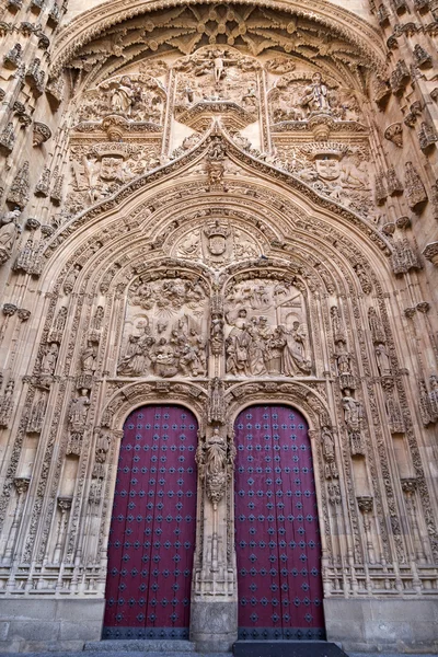 Salamanca nya katedralen (Catedral Nueva) — Stockfoto