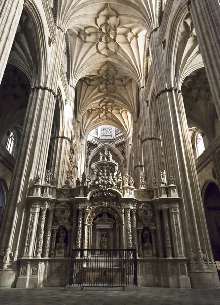 Salamanca yeni Katedrali (iç) — Stok fotoğraf