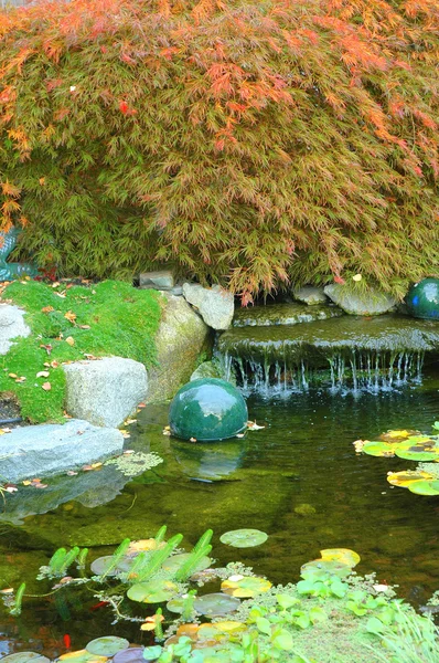 日本の水の庭. — ストック写真