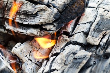 Very hot campfire close up clipart