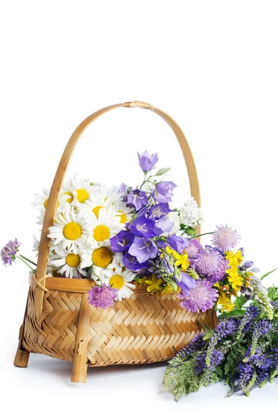 Mooie bloemen in een mand geïsoleerd op wit — Stockfoto