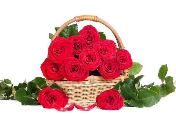 Strauß roter Rosen isoliert auf weißem Hintergrund — Stockfoto