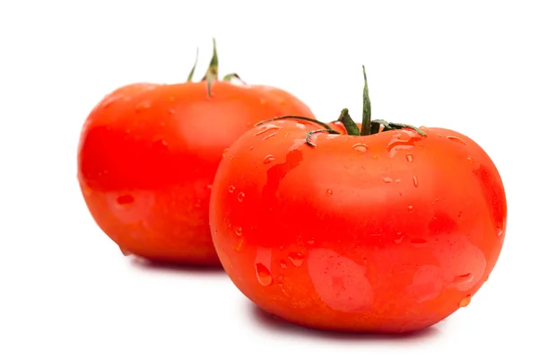 Rajčata — Stock fotografie