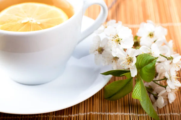 Chá com flor — Fotografia de Stock