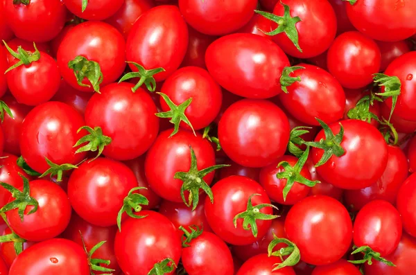 Zdravé jídlo, pozadí. rajče — Stock fotografie