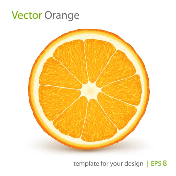 Vektor friss, érett narancs — Stock Vector