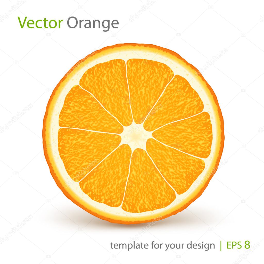 Vector fresh ripe orange