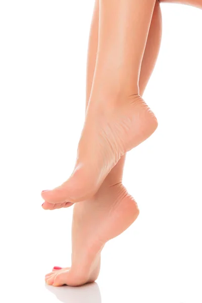 Жіночих ніг — стокове фото