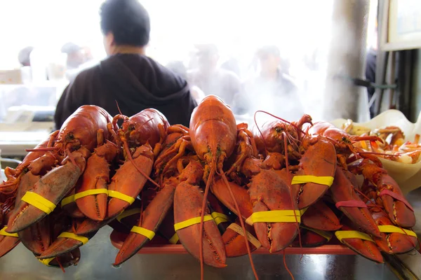 红龙虾 — 图库照片