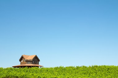 Vineyard and house clipart