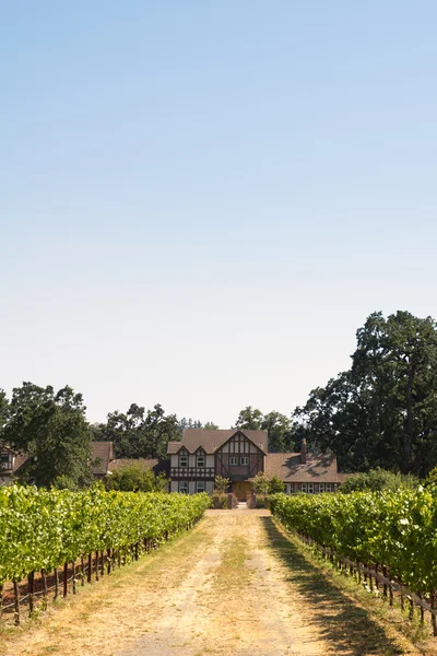 Дом Мбаппе на винограднике — стоковое фото