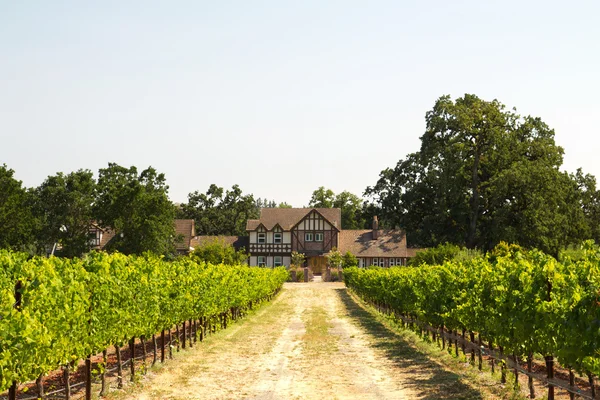 Vakkert hus i en vingård. – stockfoto
