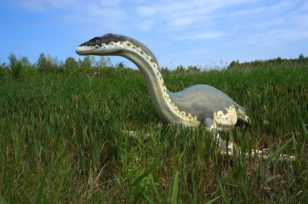 Cryptoclidus (Plesiosaur). Model of dinosaur. — Stock Photo, Image