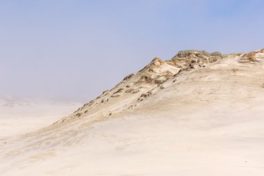 Dunes sisli bir havada. Leba, Polonya.