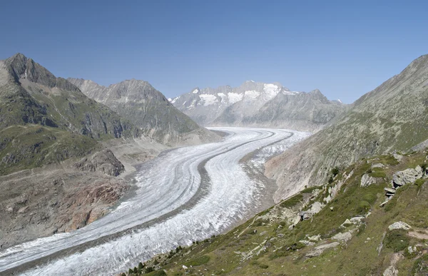Aletch gletsjer in de zomer — Stockfoto