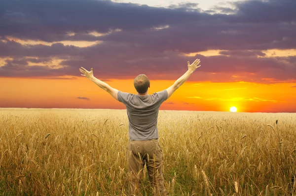 Búza mező joying, sunset férfi — Stock Fotó