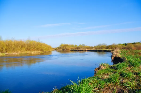 Řeka na jaře. přírodní složení. — Stock fotografie