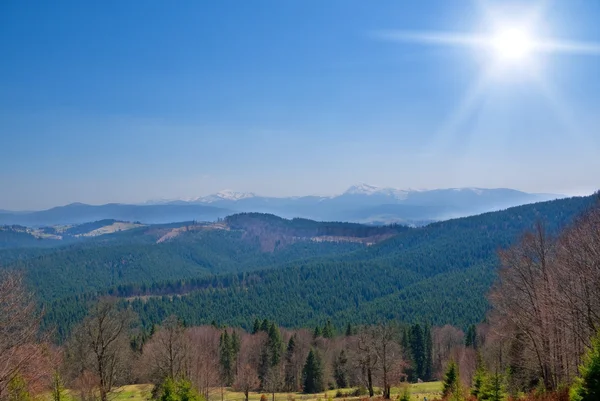 Montagne carpatiche vista sul paesaggio in primavera — Foto Stock