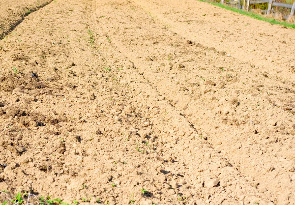 Коричневая почва сельскохозяйственного поля — стоковое фото