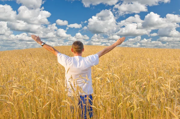 Homme dans la prairie de blé jaune . — Photo
