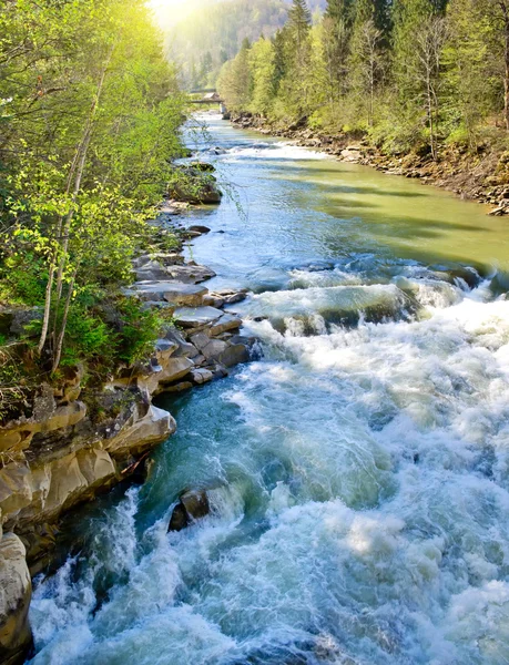 Turbulent mountain river in the spring — Stock Photo, Image
