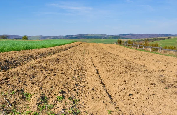 茶色の土、農業分野の — ストック写真