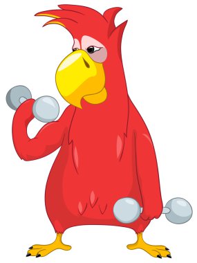 Funny Parrot. Gym clipart