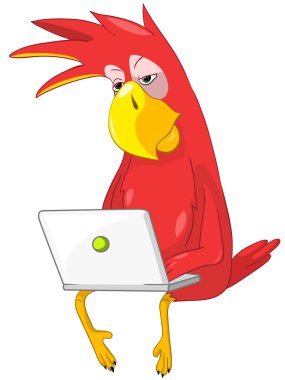 Funny Parrot. Coder. clipart