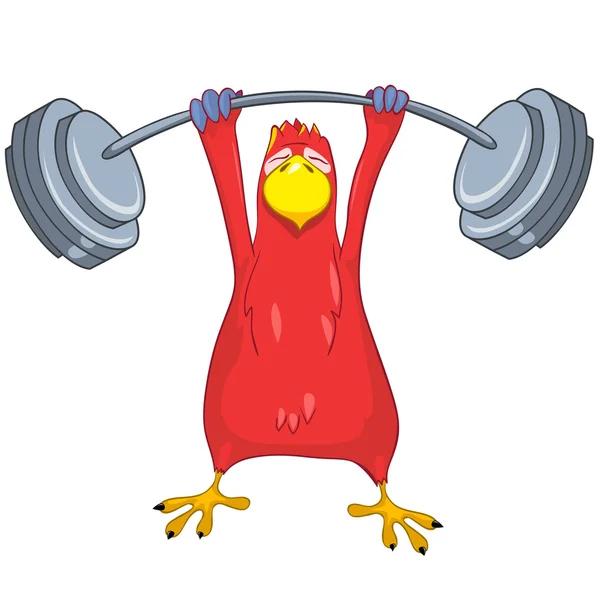 Funny Parrot. Gym — Stock Vector