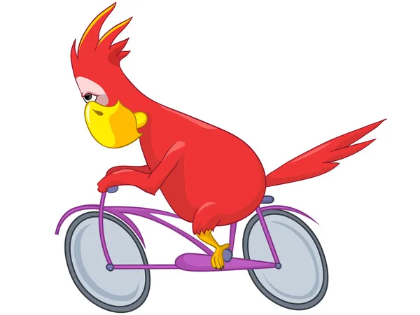 Lustiger Papagei. Radfahrer. — Stockvektor