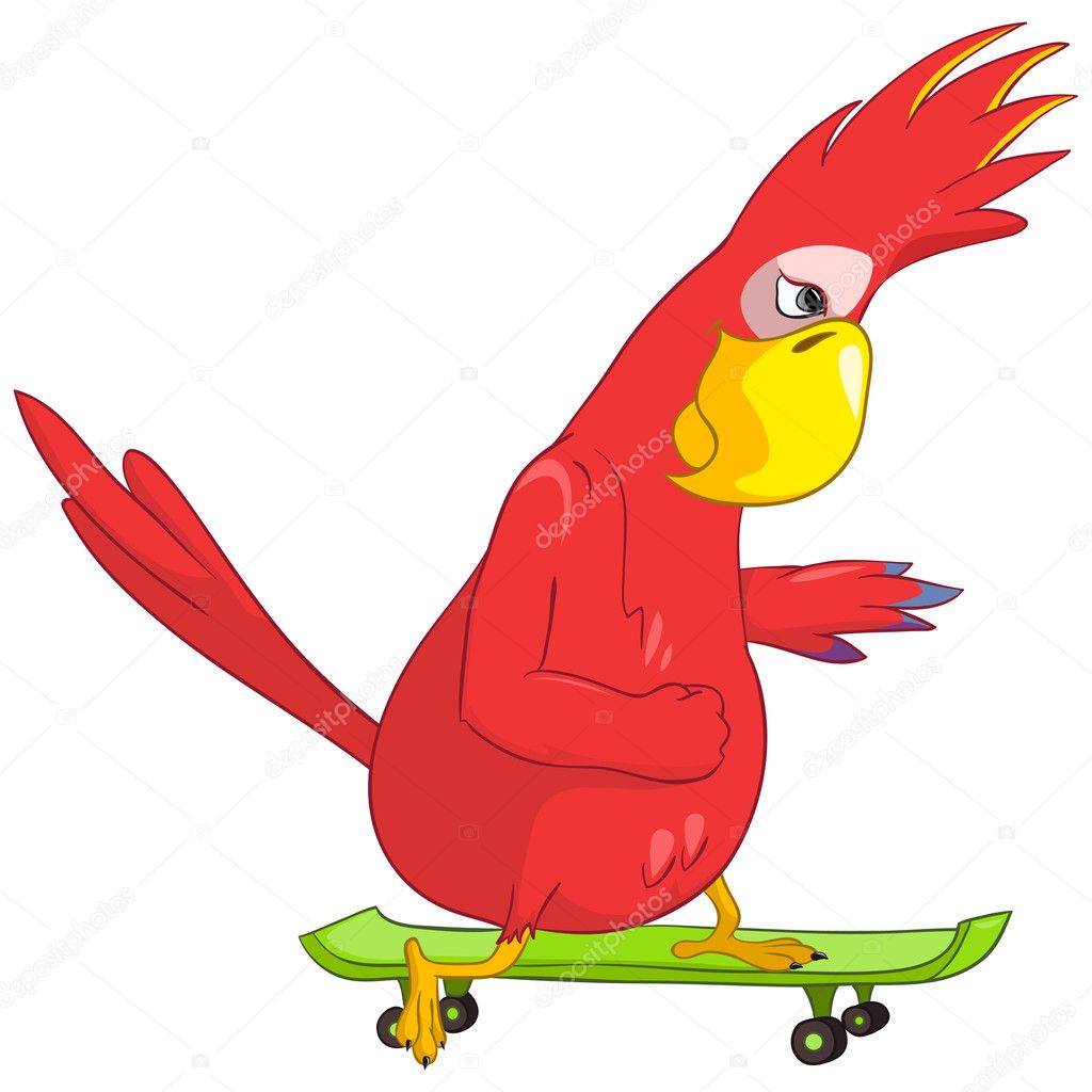 Funny Parrot. Skateboarding