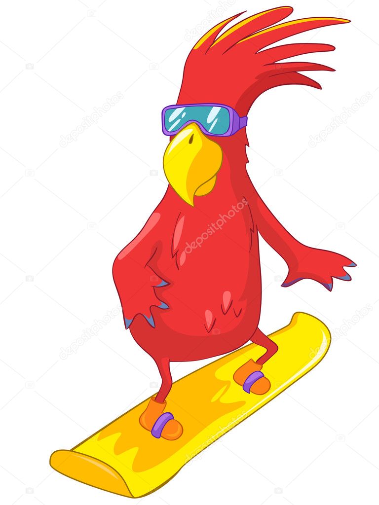 Funny Parrot. Snowboarding