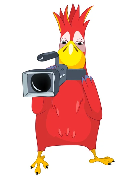 재미 있는 앵무새. 카메라 맨. — 스톡 벡터