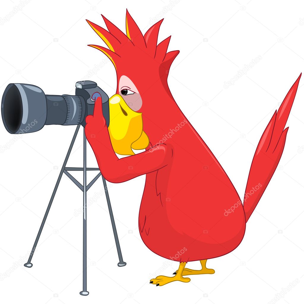Funny Parrot. Photographer.