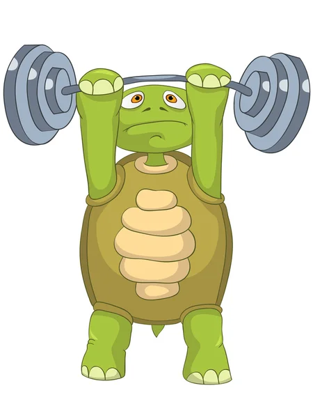Funny Turtle. Gym. — Stock Vector