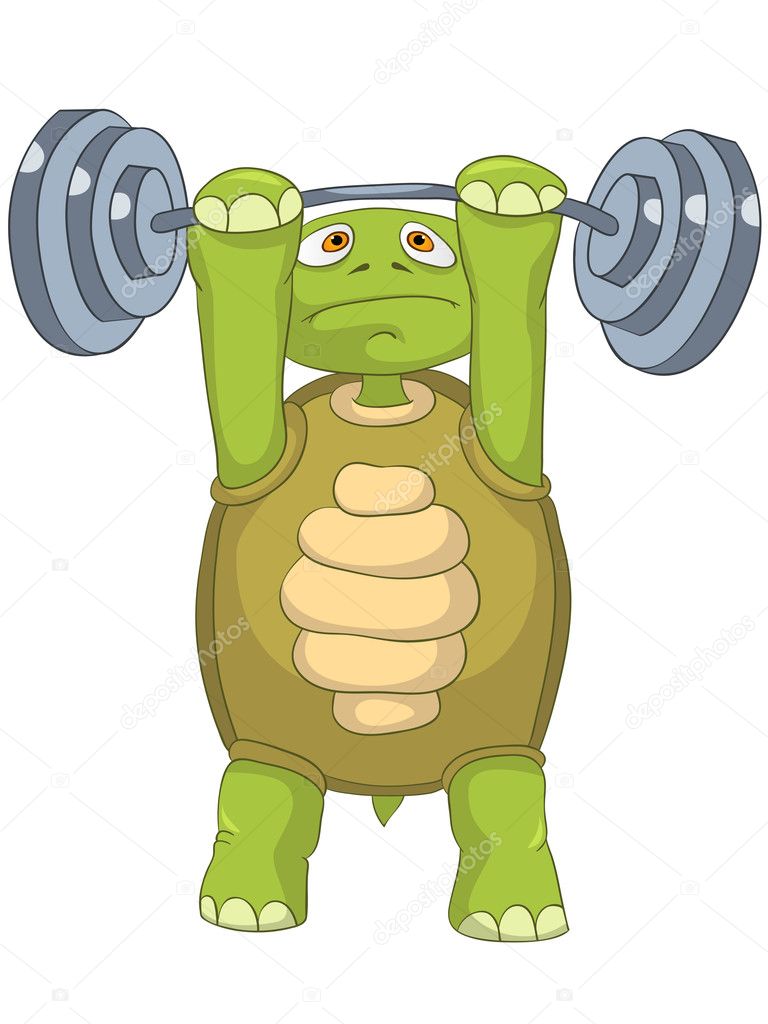 Funny Turtle. Gym. Stock Vector Image by ©VisualGeneration #11367440