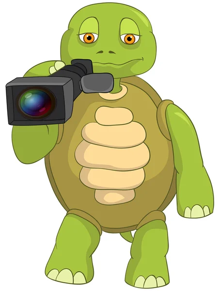 Funny Turtle. Cameraman. — Stock Vector