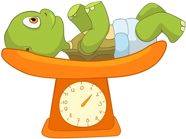 Funny Turtle. Baby Weighing — Stock Vector