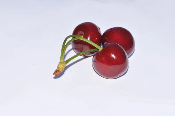 stock image Cherry