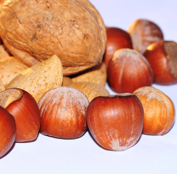 Hazelnut and walnut — Stock Photo, Image