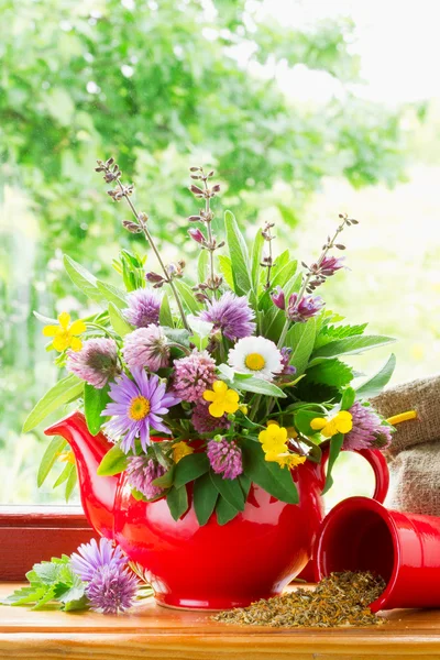 Červené čajník s kyticí léčivých bylin a květin na windowsi — Stock fotografie