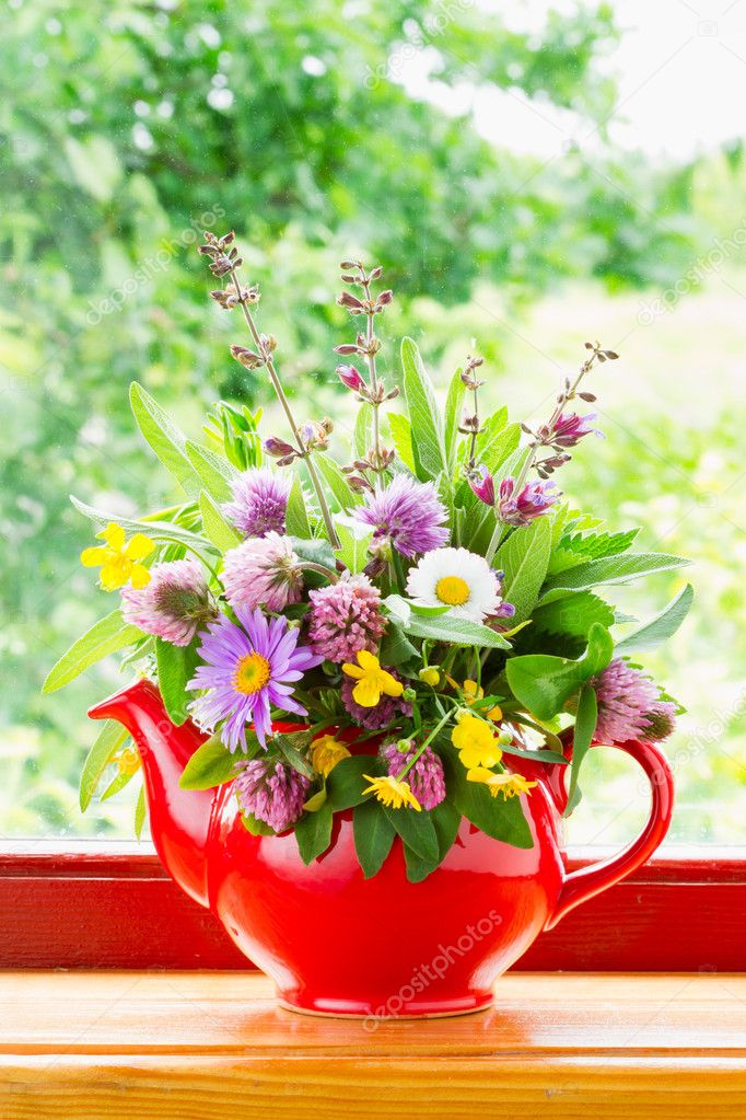 Red teapot with bouquet of healing herbs and flowers on windowsi